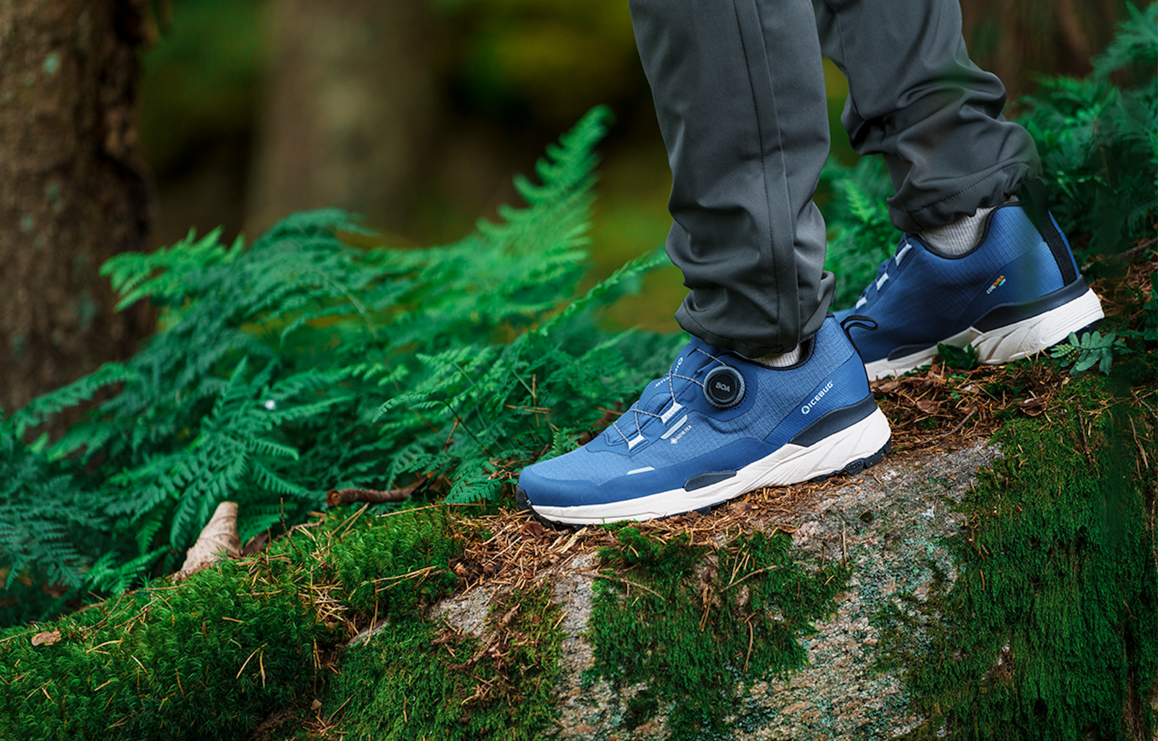 Rover 2 Women's RB9X GTX - Navy